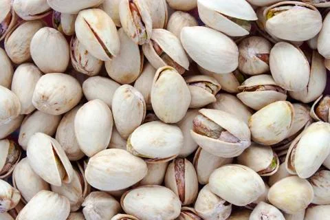 Pistachio Nuts 写真素材