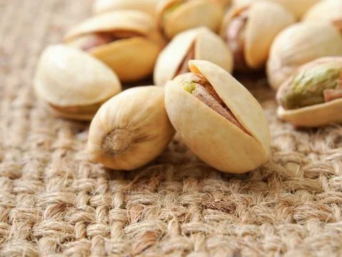 Pistachio nuts 写真素材