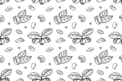 Pistachio nuts seamless pattern. Stock Illustration