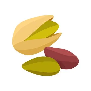 Pistachio nuts in shell and shelled flat style vector illustration イラスト素材