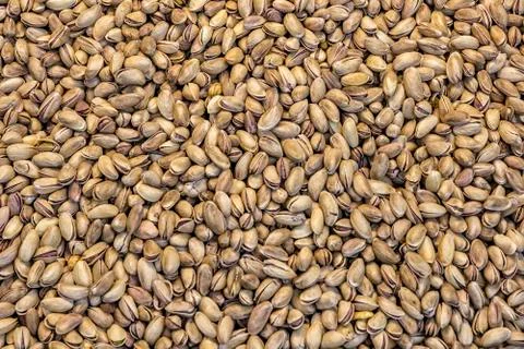 Pistachio nuts surface Stock Photos