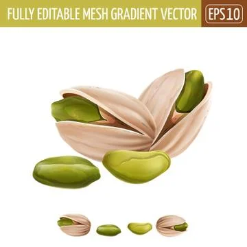 Pistachio nuts on white background. Vector illustration Stock Illustration