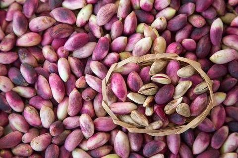 Pistachio Stock Photos