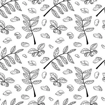 Pistachio seamless pattern with leaves Stock Illustration