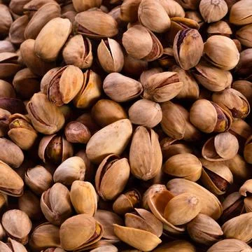 Pistachio with shell isolated on white background Stock Photos