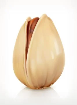 Pistachio in shell, vector icon Stock Illustration