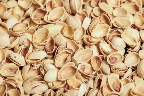 Pistachio shells. Compost or mulch them for your garden Stock Photos