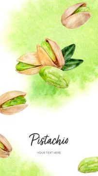 Pistachio vertical card template composition watercolor hand drawn illustration Stock Illustration