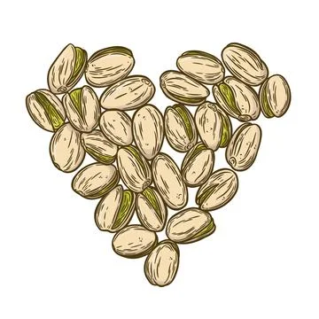 Pistachios in engraving style Stock Illustration