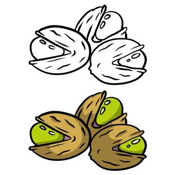 Pistachios. Green nuts in their shells. Set of Walnut. Snack and food. イラスト素材