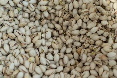 Pistachios harvested with shells Stock Photos