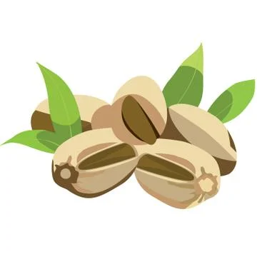 Pistachios Stock Illustration