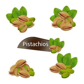 Pistachios kernel in nutshell with leaves set Stock Illustration