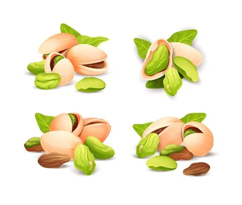 Pistachios nut compositions set, label and sticker Stock Illustration