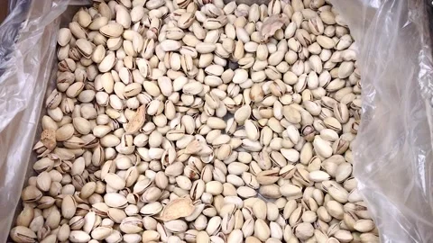 Pistachios nuts in a box Stock-Footage 259635611