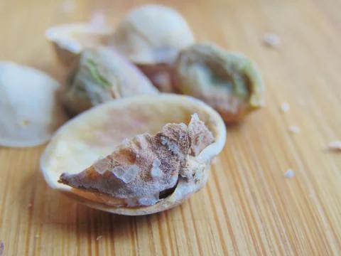 Pistachios. Stock Photos