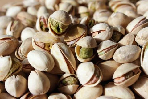 Pistachios Photos