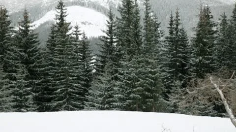 Piste in Tatras Stock Footage 10710443