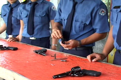 Pistols Stock Footage 146842