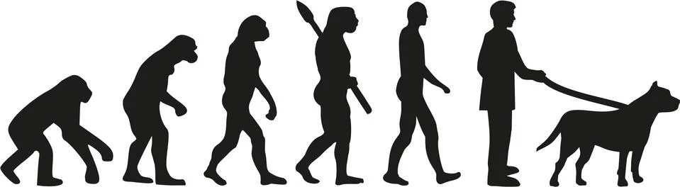 Pit bull evolution Stock Illustration