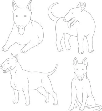 Pit bull line art set dangerous cute dog breed doodle strong pet outline ink Stock-Illustration