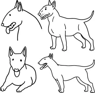 Pit bull line art set dangerous cute dog breed doodle strong pet outline ink Stock-Illustration