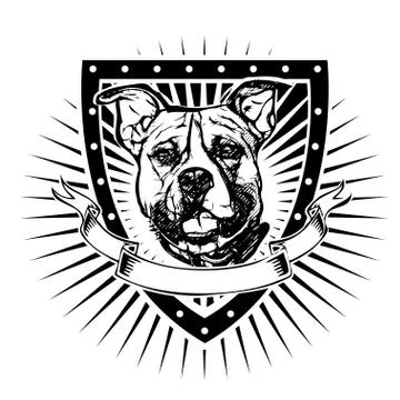 Pit bull shield Stock Illustration