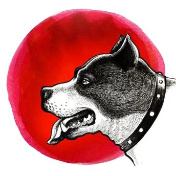 Pit bull terrier Illustrazione stock