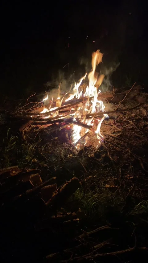 Pit fire in the night Stock Footage 171889599