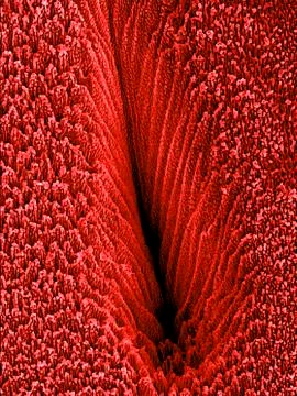 Pit formed by a laser, SEM Foto stock