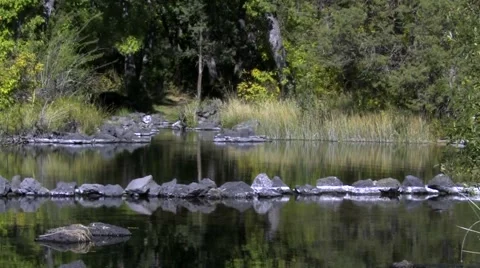 Pit River Native American Fish Traps, Ahjumawi Lave Springs SP 스톡 동영상 45595693