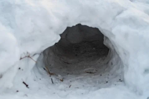 Pit in the snow Stock Photos