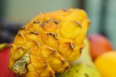 Pitahaya close up kosobke fruit Stock Photos