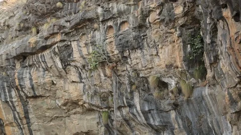 The Pitalkhora Caves, India. Stock Footage 124821513