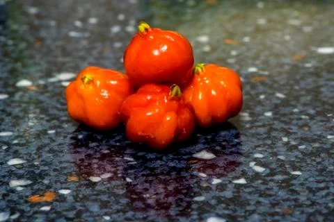 Pitanga Stock Photos