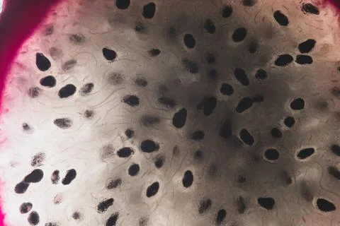 Pitaya Cactus fruit macro close up Stock Photos