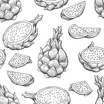 Pitaya dragon fruit graphic seamless pattern background sketch vector イラスト素材