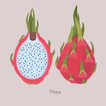 Pitaya exotic fruit with white pulp and black seeds. Stock Illustration