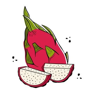 Pitaya fruit. Exotic dragon fruit design on white background. Summer fruits Stock Illustration