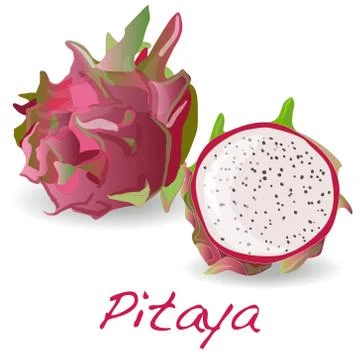 Pitaya or Dragon Fruit. Vector Stock Illustration