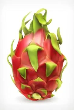Pitaya, vector icon Stock Illustration