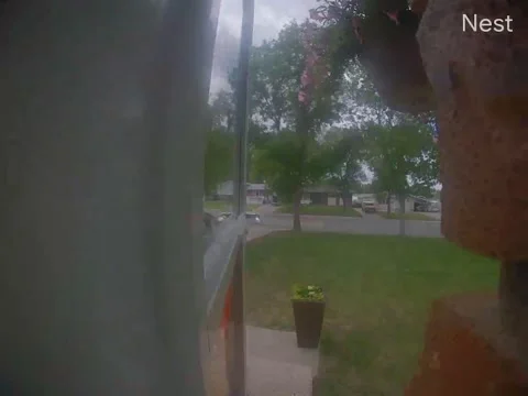 Pitbull Chases Squirrel and Yanks Owner From Front Steps, Regina, Saskatchewan,  Stock Footage 337613172