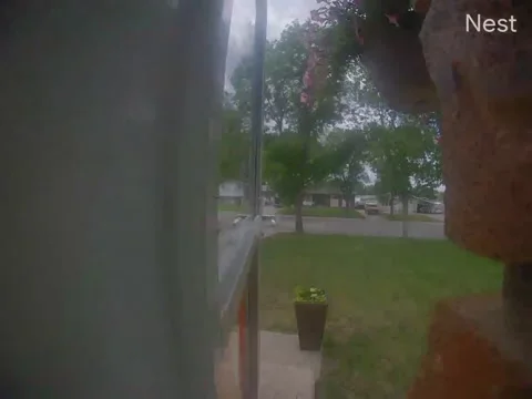 Pitbull Chases Squirrel and Yanks Owner From Front Steps, Regina, Saskatchewan,  Stock Footage 337613403