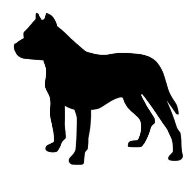 Pitbull Dog Stock Illustration