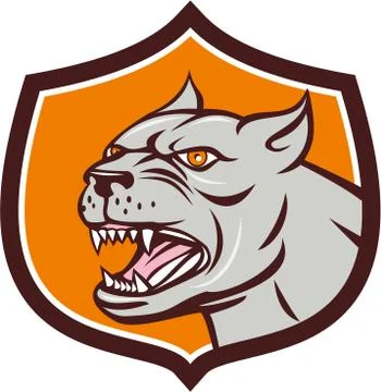 Pitbull Dog Mongrel Head Shield Cartoon Stock Illustration