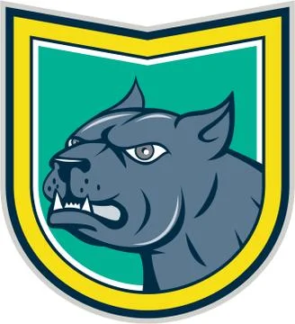 Pitbull Dog Mongrel Head Side Shield Cartoon Stock Illustration