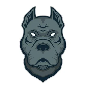 Pitbull head mascot Stock Illustration