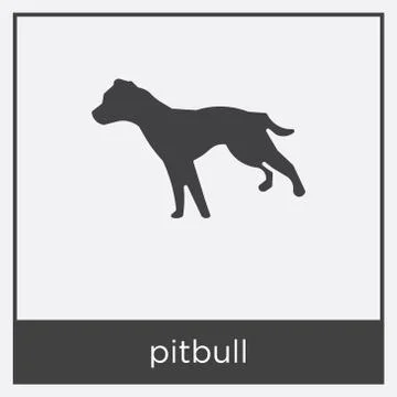 Pitbull icon isolated on white background Free Stock Illustration