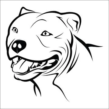 Pitbull Ilustração Stock