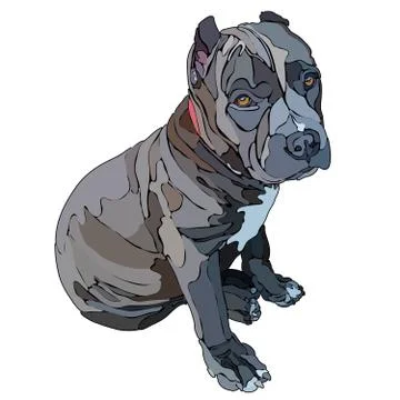 Pitbull vector illustration Stock Illustration